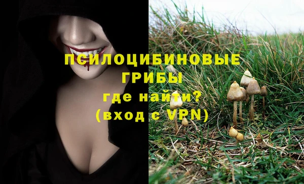 a pvp Арсеньев