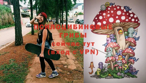 MESCALINE Аркадак